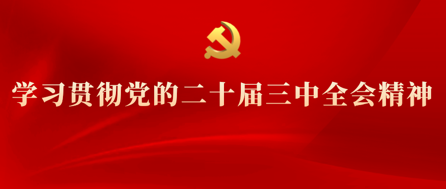學(xué)習(xí)專欄 | 黨的二十屆三中全會(huì)精神解讀(十一)